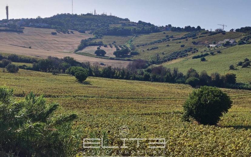 Trilocale via Maggini, Pinocchio, Ancona — foto 8 di 18