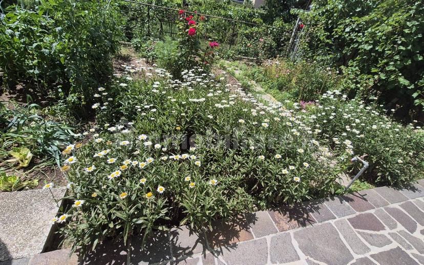 Appartamento via Cesare Battisti, Zambana, Terre d'Adige — foto 16 di 19