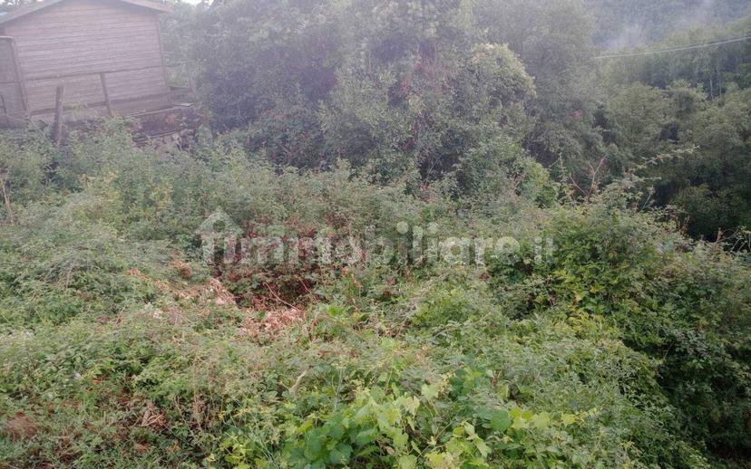 Terratetto unifamiliare via Gorizia 5, Salterana, Maissana — foto 7 di 9