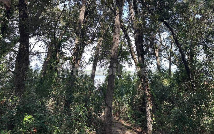 Villa plurifamiliare via Lungomare, Sabaudia — foto 3 di 50