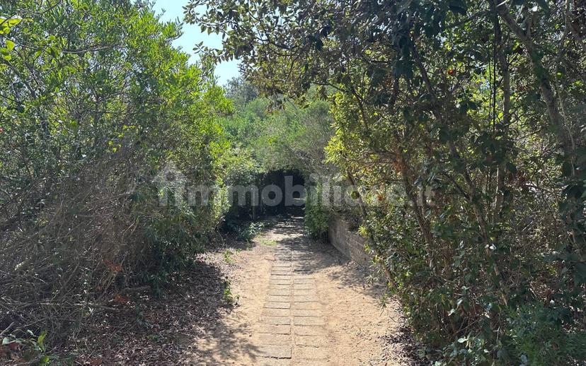 Villa plurifamiliare via Lungomare, Sabaudia — foto 10 di 50
