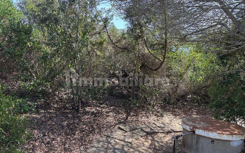Villa plurifamiliare via Lungomare, Sabaudia — foto 47 di 50