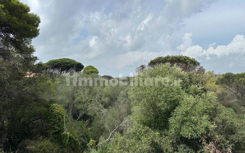 Villa plurifamiliare via Lungomare, Sabaudia — foto 5 di 50