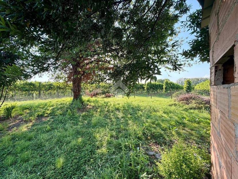 Rustico via San Bartolomeo, Bibano, Godega di Sant'Urbano — foto 26 di 32