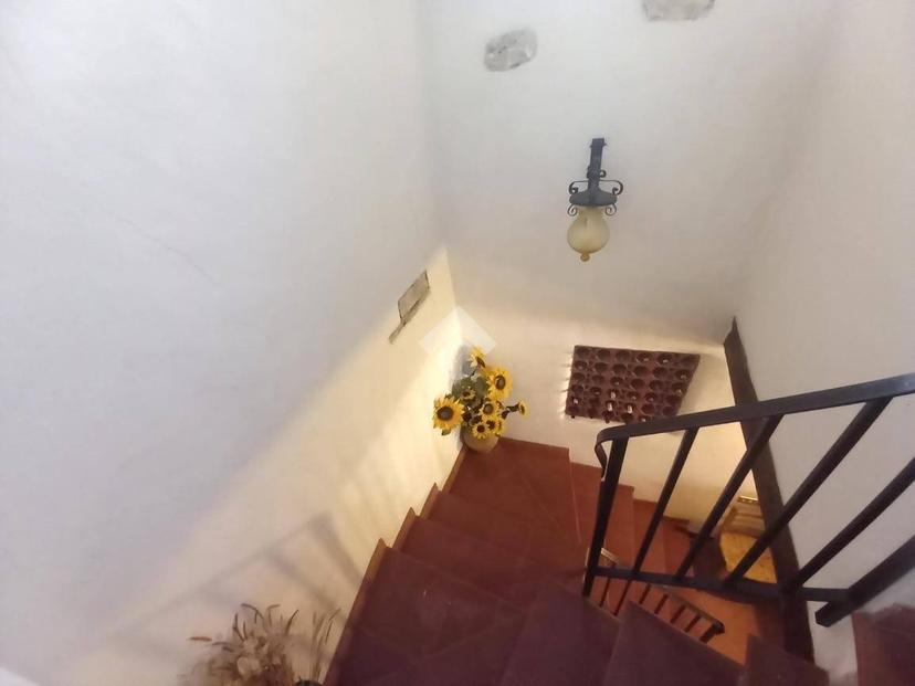 Terratetto plurifamiliare via San Bartolomeo 5, Casteltodino, Montecastrilli — foto 16 di 22