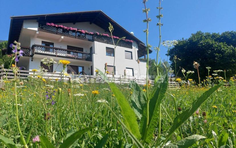 Attico via Risorgimento, Centro, Domegge di Cadore — foto 4 di 20