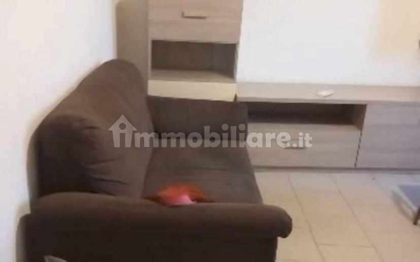 Bilocale Stagno, Stagno, Collesalvetti — foto 6 di 11
