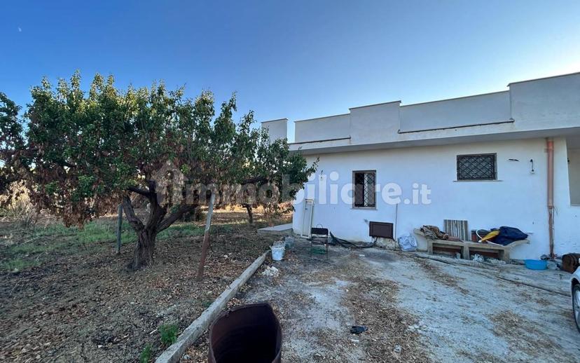 Villa unifamiliare Contrada Vacante, Partinico — foto 10 di 23