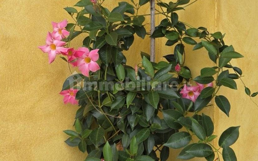 Villa a schiera 5 locali, ottimo stato, Centro, Scorzè — foto 11 di 44