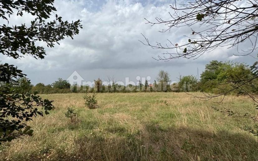 Villa plurifamiliare Strada Stradella, Novi Ligure — foto 13 di 57