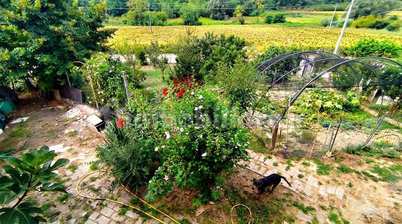Cascina via Montechiaro 10, Villa San Secondo — foto 25 di 33