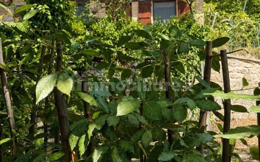 Casale frazione Uscerno, Montegallo — foto 2 di 18