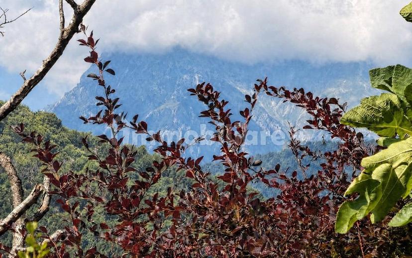 Casale frazione Uscerno, Montegallo — foto 17 di 18
