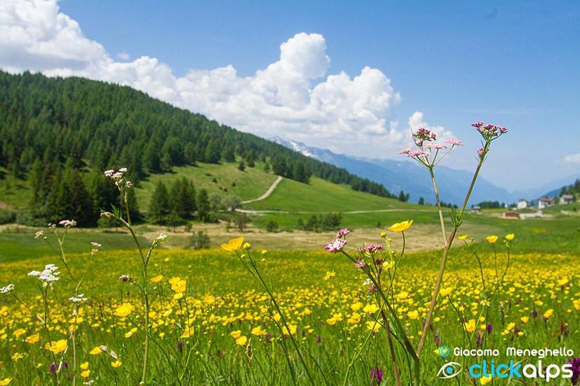 Bilocale via Clef 20, Aprica — foto 10 di 19