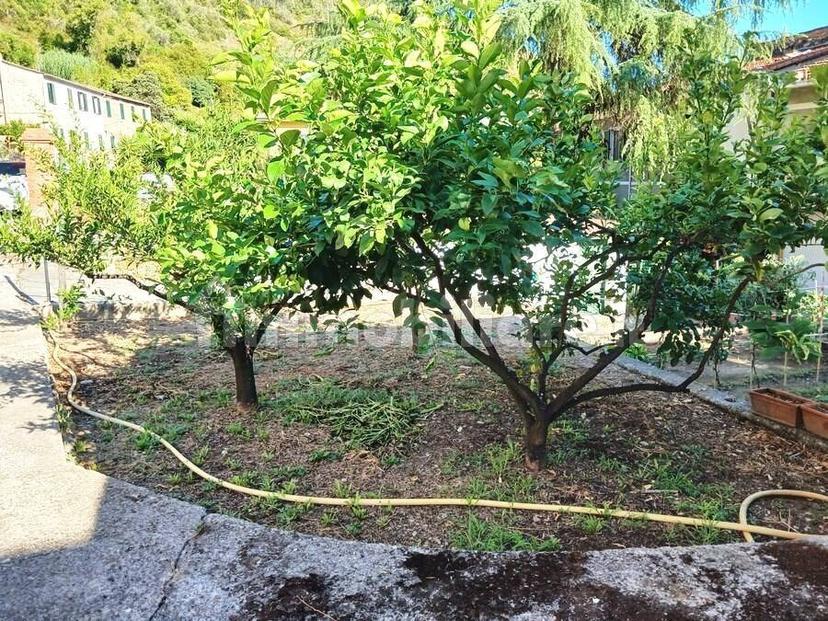 Villa unifamiliare via Garibaldi, Centro, Dolcedo — foto 12 di 32