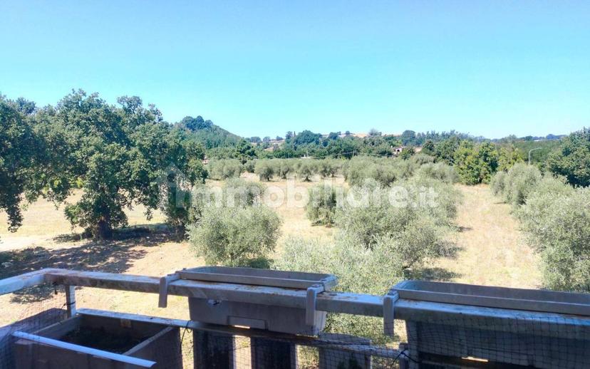 Quadrilocale via Divino Amore snc, Centro, Bagnoregio — foto 14 di 16
