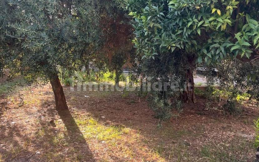 Villa unifamiliare via Savona 60, Mondragone — foto 12 di 15
