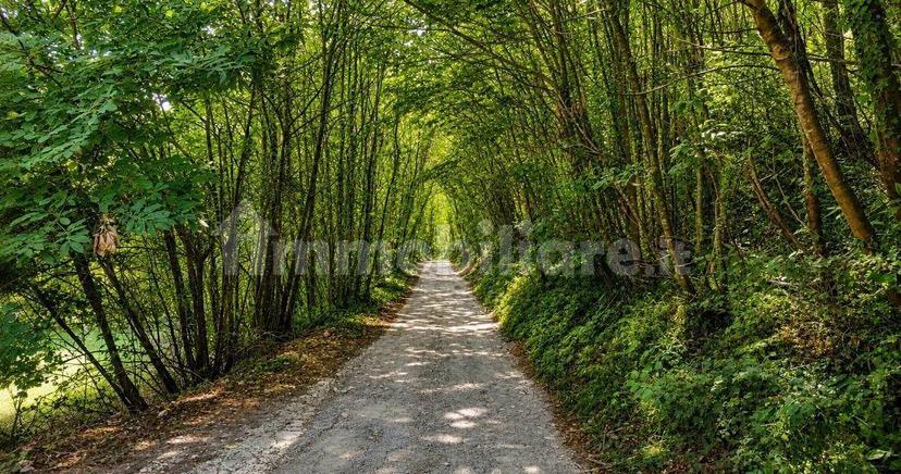 Villa unifamiliare contrada santese, Durazzano — foto 22 di 26