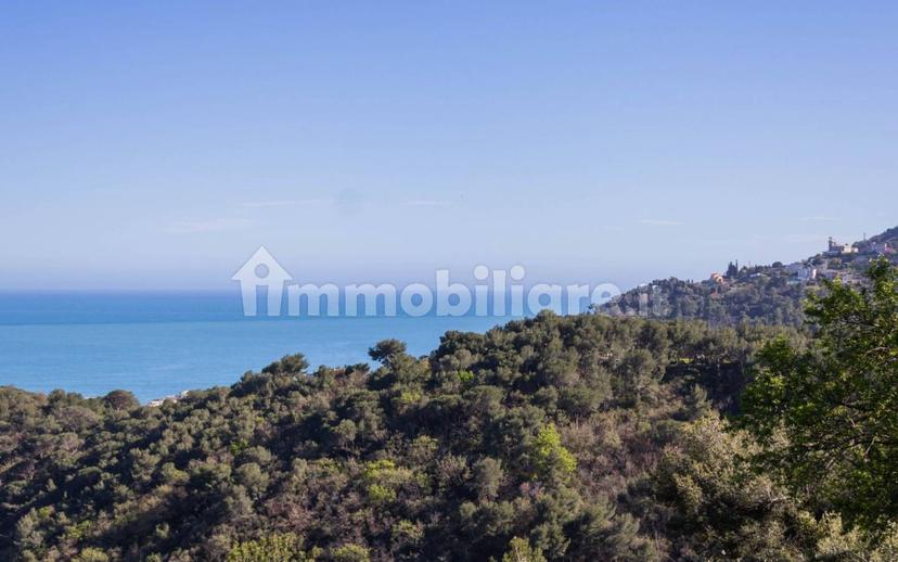 Villa unifamiliare Strada Privata Sottochiesa-Moglio, Moglio, Alassio — foto 8 di 10