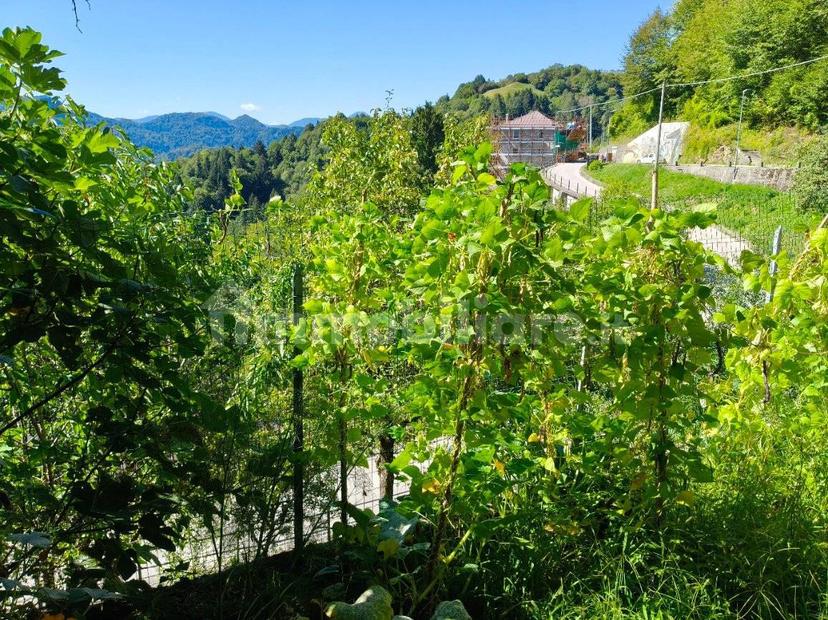 Villa unifamiliare Strada Rivalpo, Arta Terme — foto 56 di 58