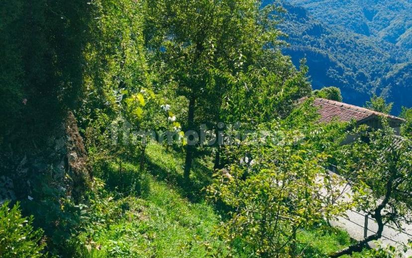 Villa unifamiliare Strada Rivalpo, Arta Terme — foto 34 di 58