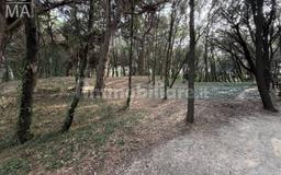Trilocale via Sant'Antonio 7/O, Rosolina