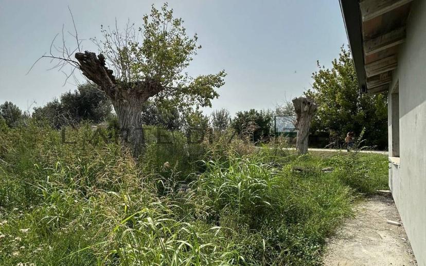 Villa bifamiliare, ottimo stato, 250 m², Centro, Alfonsine — foto 16 di 17
