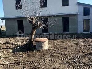 Villa bifamiliare, ottimo stato, 250 m², Centro, Alfonsine