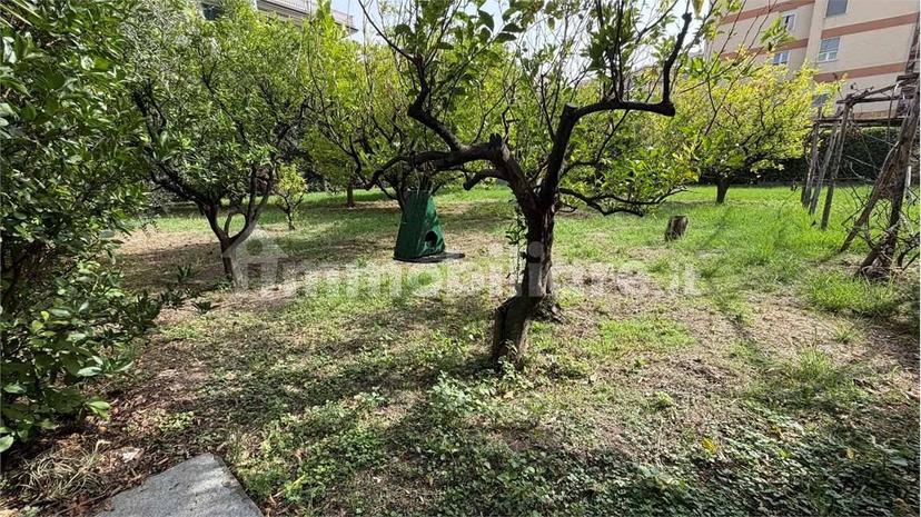 Villa unifamiliare via Piave, Centro, Albenga — foto 67 di 92