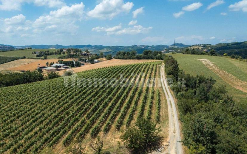 Rustico Strada Cascine Piccinini 11, Grazzano Badoglio — foto 13 di 16