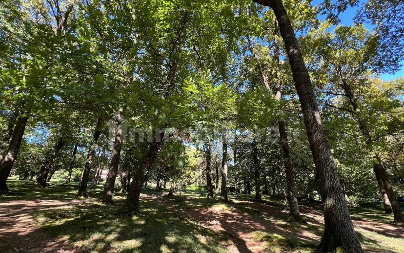Villa a schiera via Botta 6, Almenno San Bartolomeo — foto 3 di 19