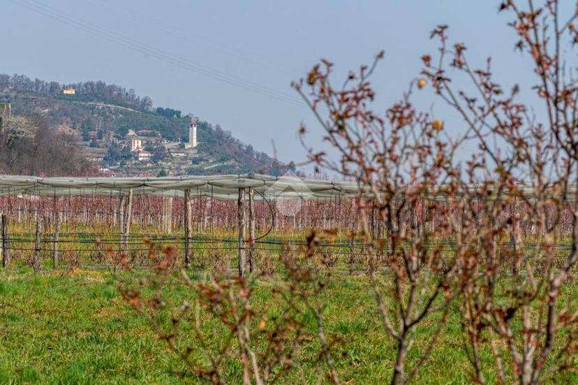Trilocale via vecchia della valle 7, Revello — foto 6 di 23