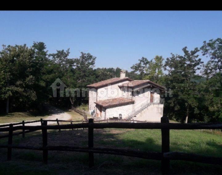 Villa unifamiliare Strada Taibo Castello 1860, Mercato Saraceno — foto 3 di 3