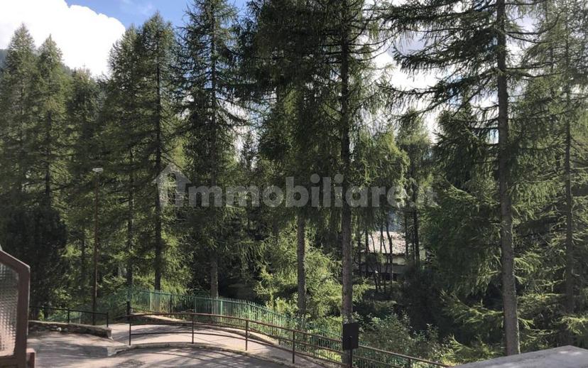 Trilocale via Rovera 16, Foppolo — foto 9 di 14