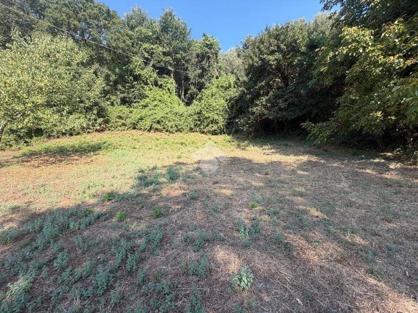 Rustico Strada Bassanese, Oriolo Romano — foto 2 di 11
