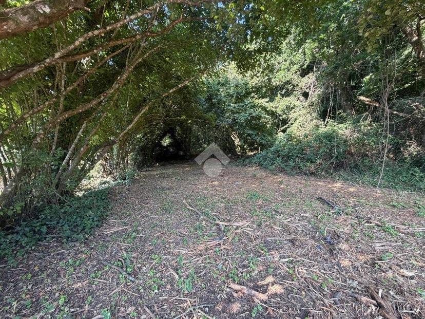 Rustico Strada Bassanese, Oriolo Romano — foto 10 di 11
