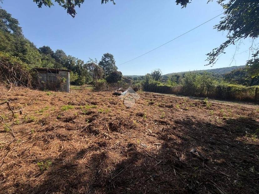 Rustico Strada Bassanese, Oriolo Romano — foto 9 di 11