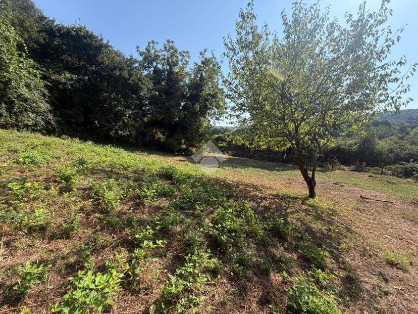 Rustico Strada Bassanese, Oriolo Romano — foto 6 di 11