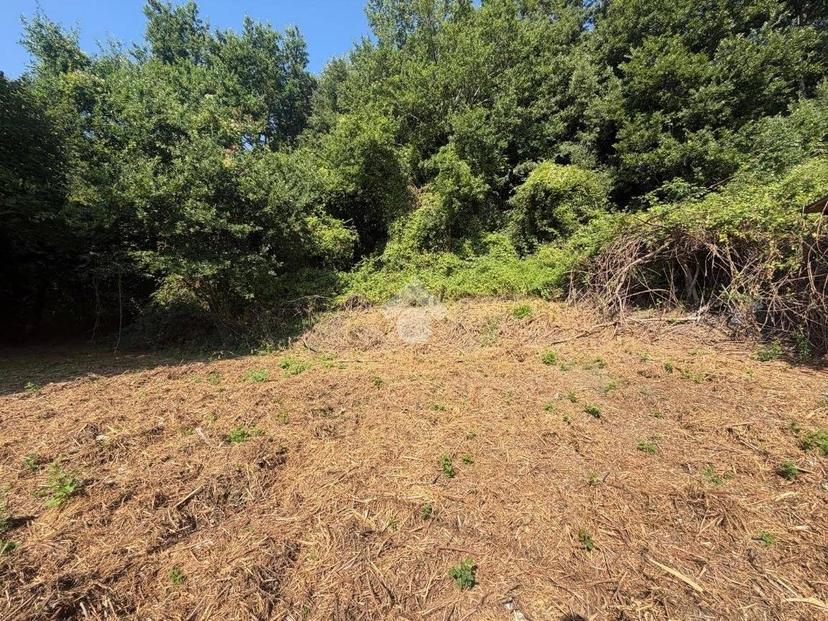 Rustico Strada Bassanese, Oriolo Romano — foto 7 di 11
