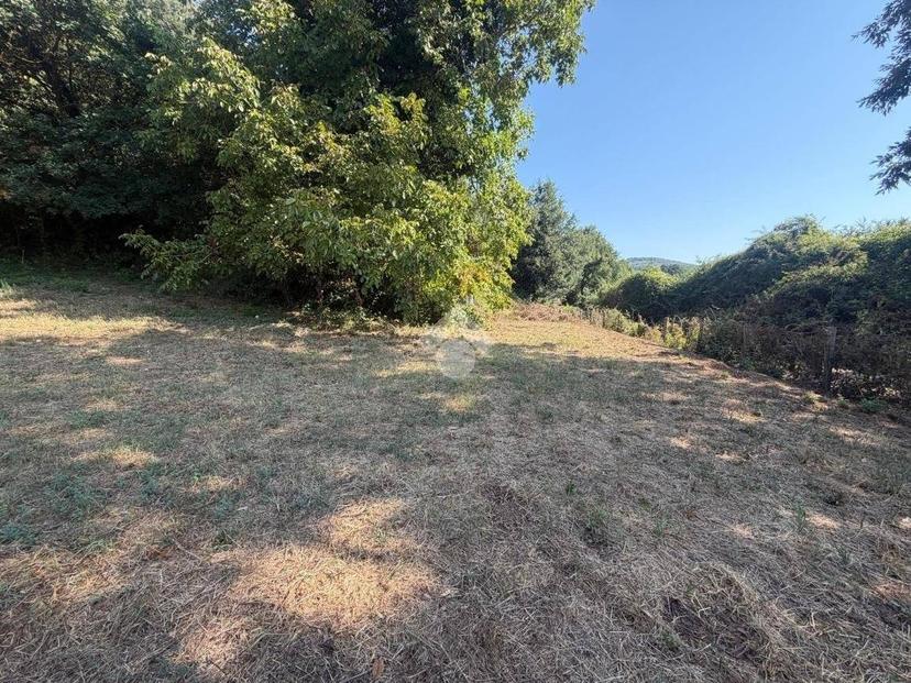 Rustico Strada Bassanese, Oriolo Romano — foto 4 di 11