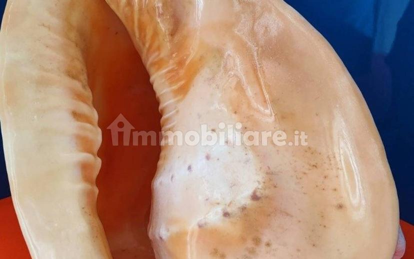 Bilocale buono stato, terzo piano, Ospedaletti — foto 3 di 20