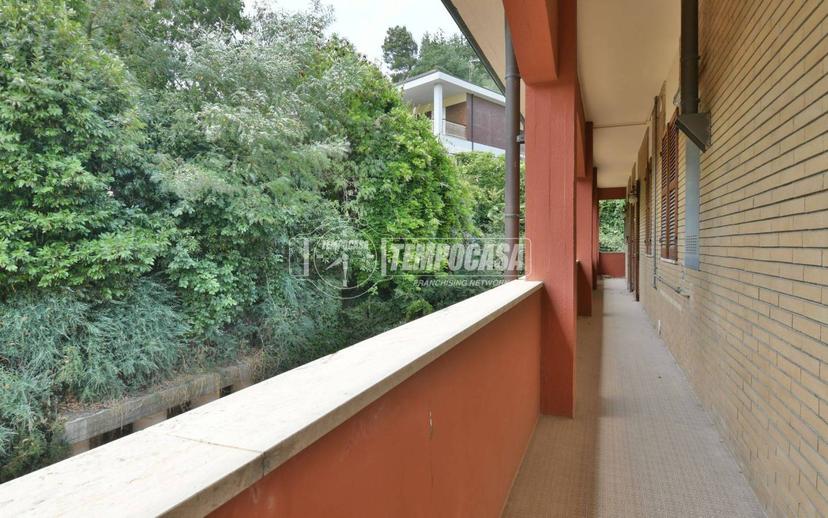 Appartamento da ristrutturare, piano terra, Ascoli Piceno — foto 5 di 27