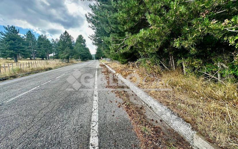 Terratetto unifamiliare Silvana Mansio - Difesa di Spina, Casali del Manco — foto 8 di 24
