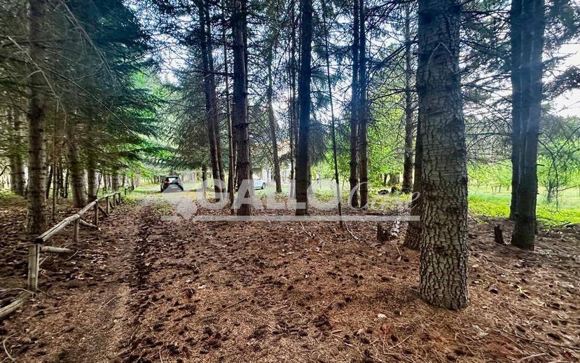 Terratetto unifamiliare Silvana Mansio - Difesa di Spina, Casali del Manco — foto 24 di 24