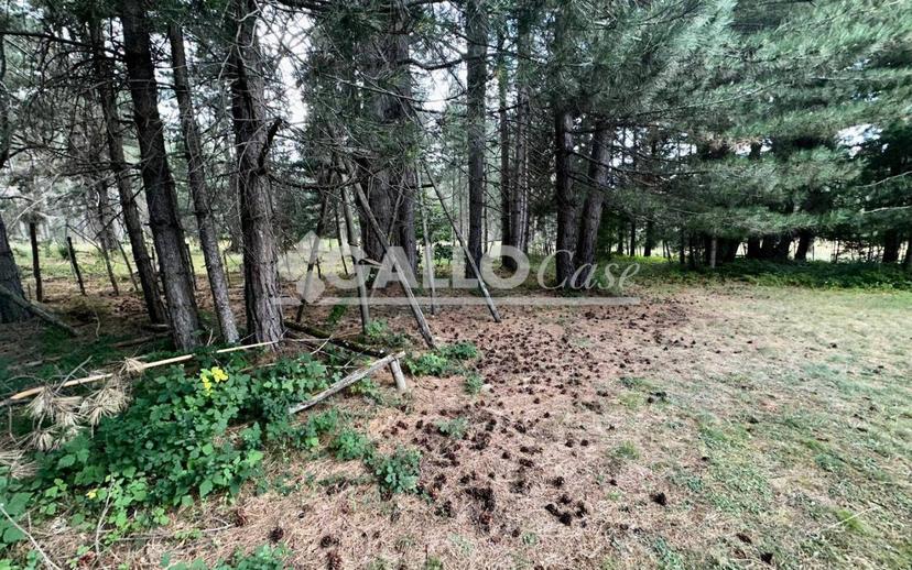 Terratetto unifamiliare Silvana Mansio - Difesa di Spina, Casali del Manco — foto 10 di 24