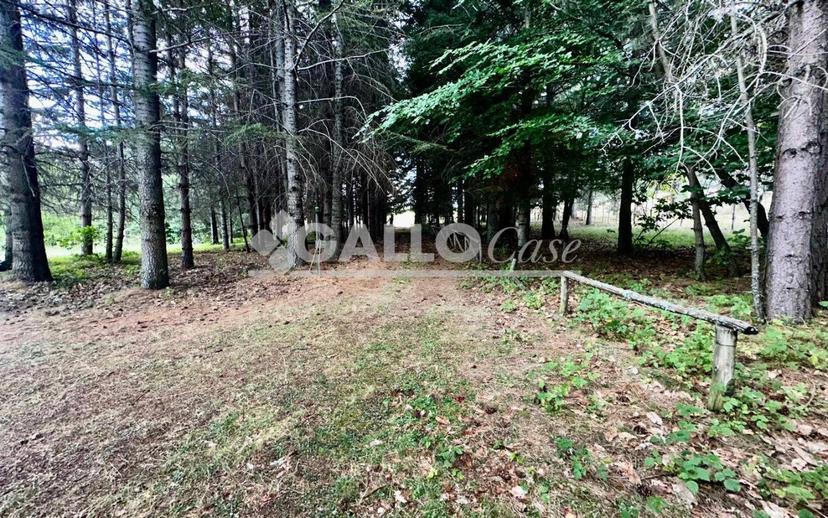 Terratetto unifamiliare Silvana Mansio - Difesa di Spina, Casali del Manco — foto 15 di 24