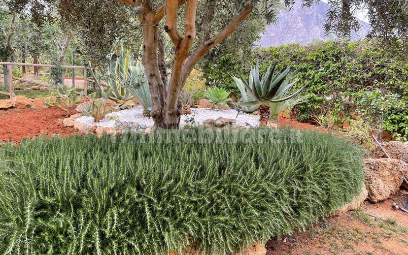 Villa unifamiliare via Viola di Mare 18, Custonaci — foto 3 di 20