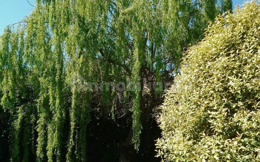 Villa unifamiliare, ottimo stato, 243 m², Corcagnano, Parma — foto 33 di 45