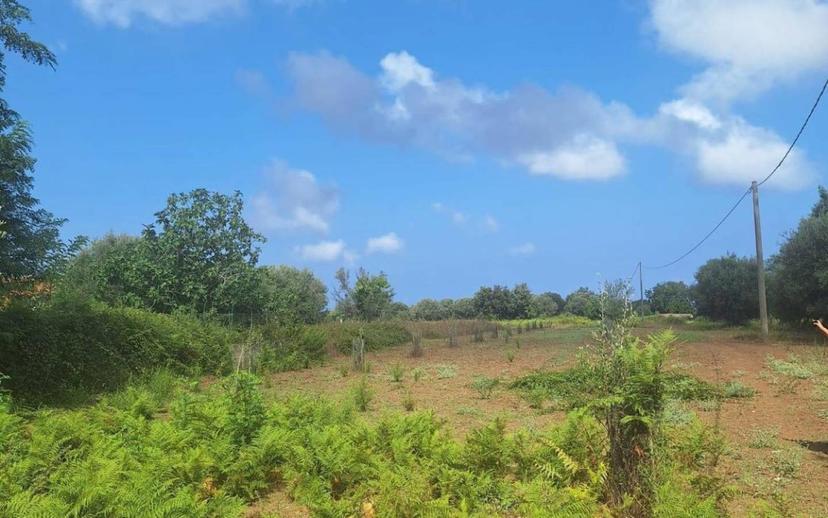 Rustico Località campo sposrtivo snc, Drapia — foto 4 di 10