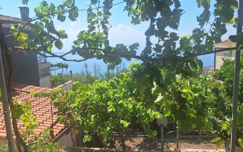 Villa unifamiliare vicolo Poerio snc, Caroniti, Joppolo — foto 18 di 25